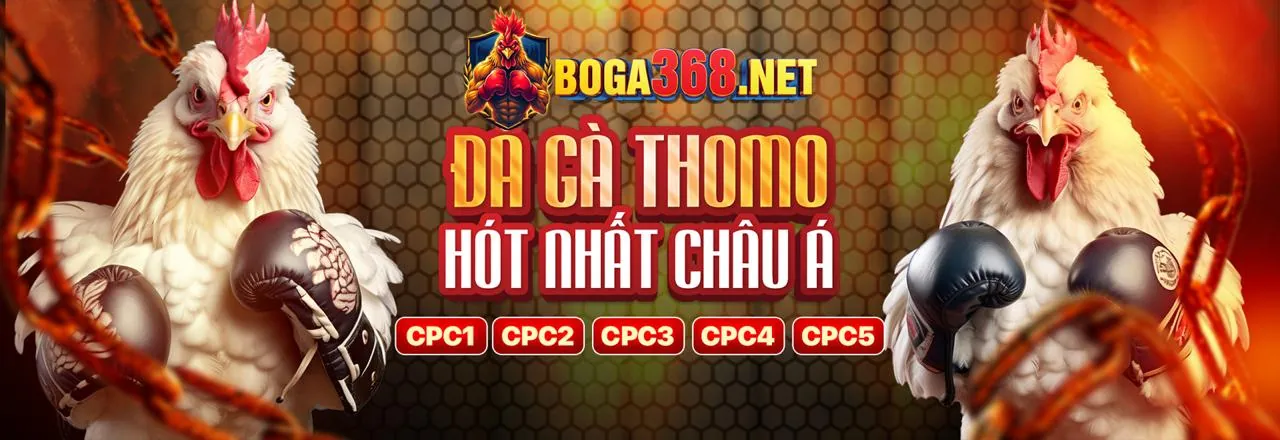 Hình ảnh chính blog roobet crash
